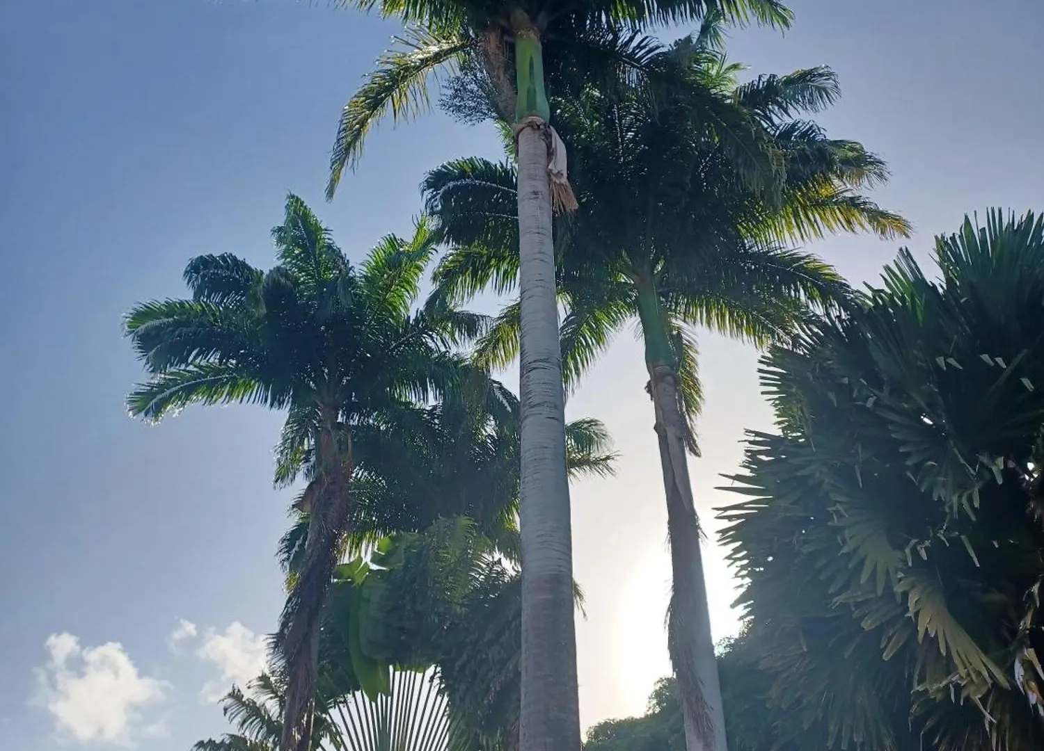 T3 Rhum Passion Vue Mer Et Rocher Du Diamant Dans Celebre Village De Vacances Sainte-Luce Apartamento